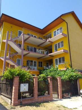 Vila Cata Costinesti